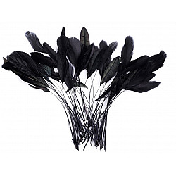 Dekorative Hahnfedern, Länge 13-18 cm, (50 Stück Paket) - Schwarz