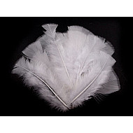 Aktuelle dekorative Federn, Länge 11-17 cm (Packung 20 Stück) - Weiß