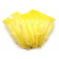 Dekorative Federn von Truthähnen, Länge 11-17 cm (Packung 20 Stück) - Gelb