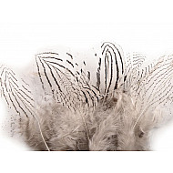 Dekorative Federfeder, Länge 5 - 11 cm (Pack 20 Stück) - Weiß