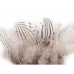 Dekorative Federfeder, Länge 5 - 11 cm (Pack 20 Stück) - Weiß