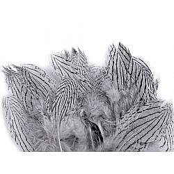 Dekorative Federn von Fasan, Länge 5 - 11 cm (20 Stück Paket) - Sehr offen grau