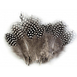 Dekorative Hennefedern, Länge 5-13 cm (Packung 20 Stück) - Taupes