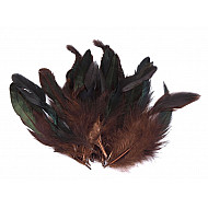 Dekorative Hennefedern, Länge 6-20 cm (Packung 20 Stück) - Braun