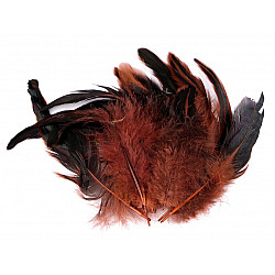 Dekorative Hennefedern, 6-20 cm lang (20 Stück Paket) - Rotbraun