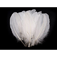 Dekorative Gansfedern, Länge 15-21 cm (Pack 5 Stück) - Weiß