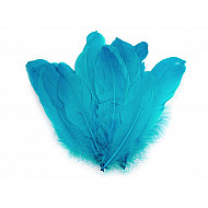 Dekorative Gansfedern, Länge 15-21 cm (Pack 5 Stück) - Bleu Turquoise