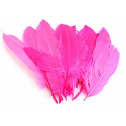 Dekorative Gänsefedern, Länge 15-21 cm (Paket 5 Stück) - Rosa offen öffnen - Neon