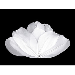 Dekorative Gansfedern, Länge 5-7 cm (Pack 10 Stück) - Weiß