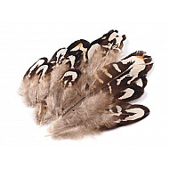 Dekorative Fazan-Federn, Länge 4-10 cm (Pack 10 Stück) - Taupes