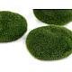 Simulation Moos Stein, grün